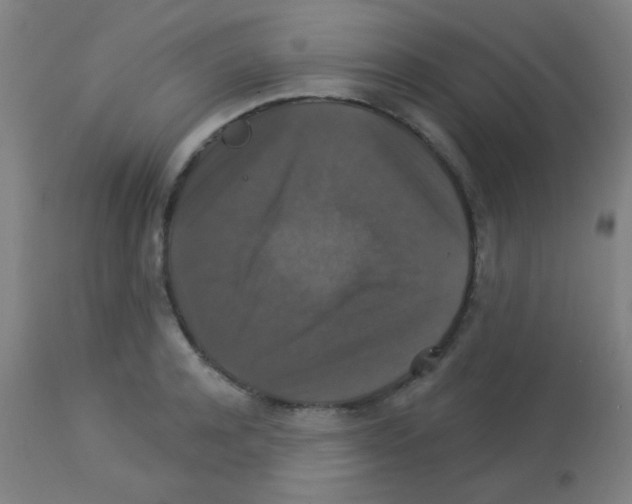 X0000113180944200910161328