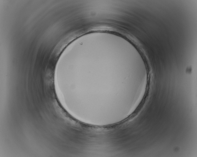 X0000113180945200910161328