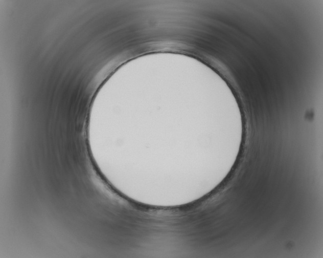 X0000113180946200910161328