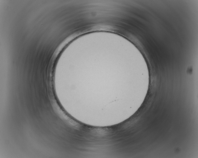 X0000113180947200910161328