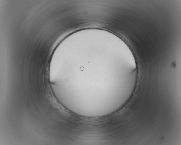 X0000113180948200910161328