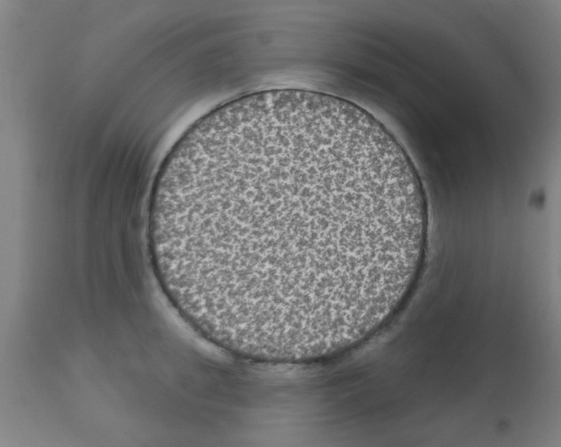 X0000113180949200910161328