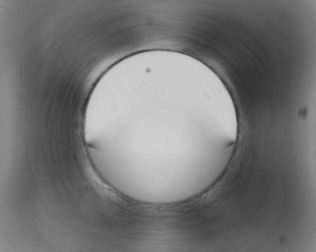 X0000113180952200910161328