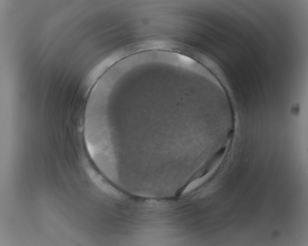 X0000113180954200910161329