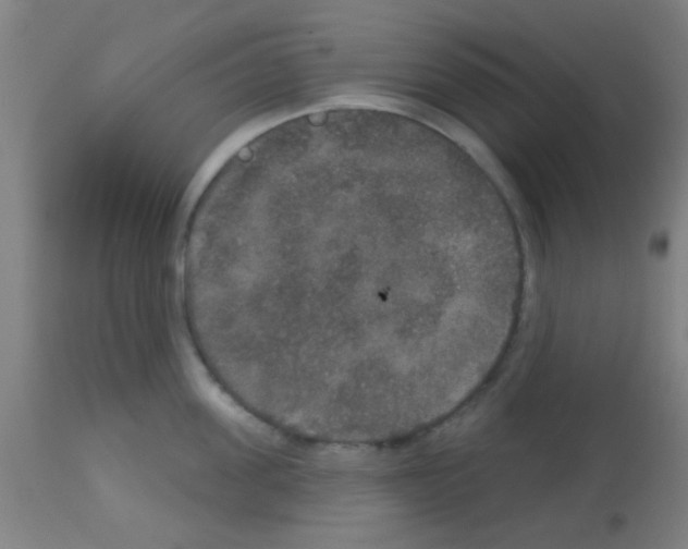 X0000113180955200910161329