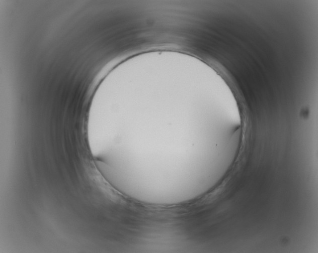 X0000113180956200910161329