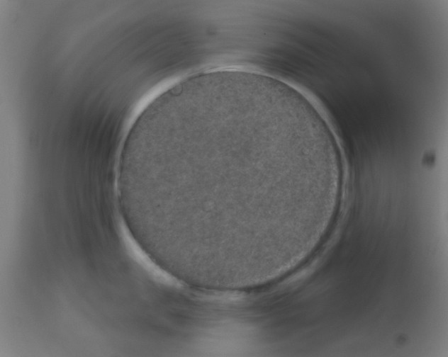 X0000113180957200910161329