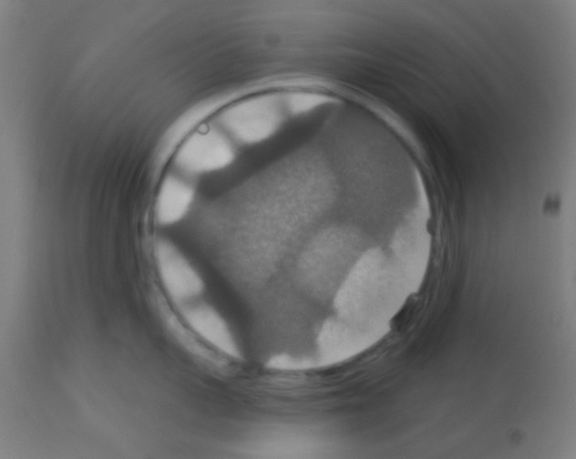 X0000113180959200910161329