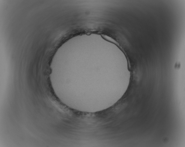 X0000113180961200910161328