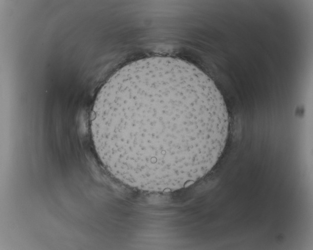 X0000113180962200910161328