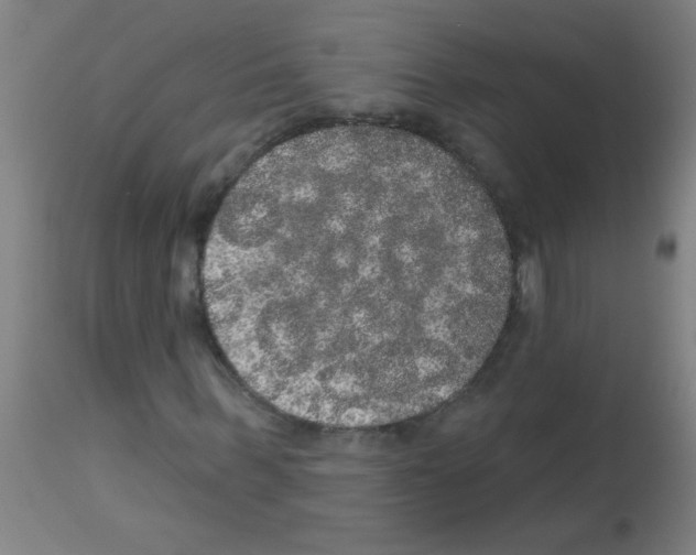X0000113180963200910161328