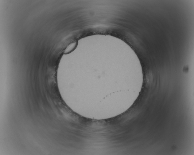 X0000113180964200910161328