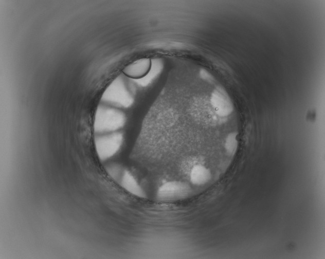 X0000113180966200910161328