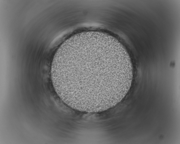 X0000113180967200910161328