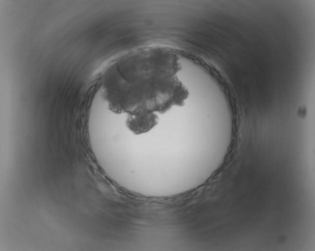 X0000113180968200910161328