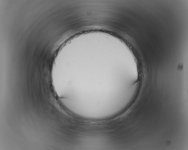X0000113180969200910161328