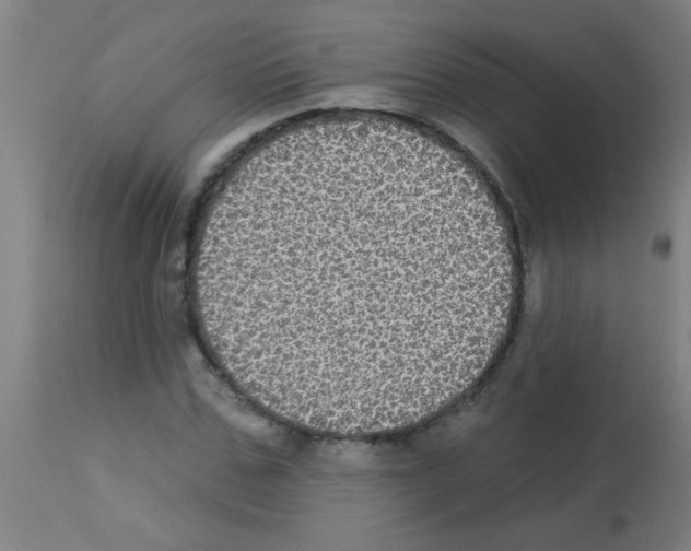 X0000113180971200910161328