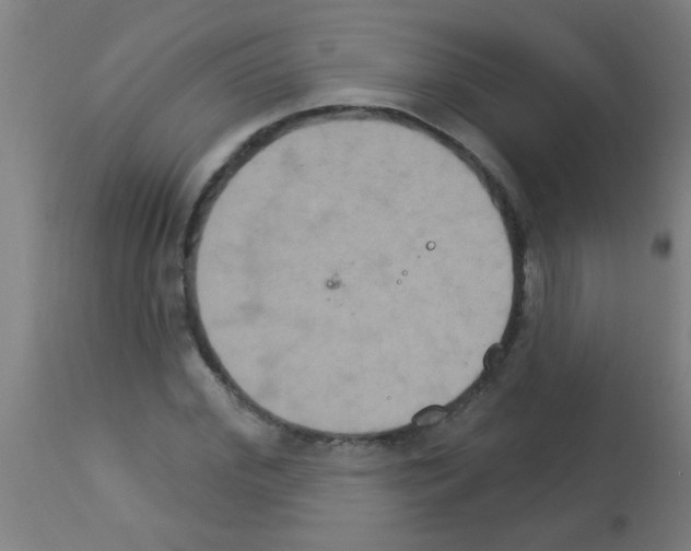 X0000113180972200910161328
