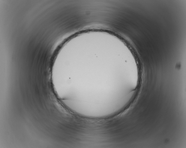 X0000113180973200910161328