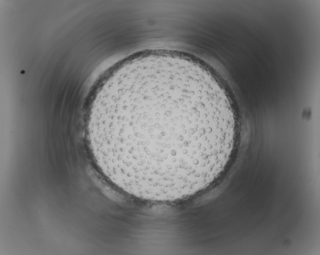 X0000113180974200910161328