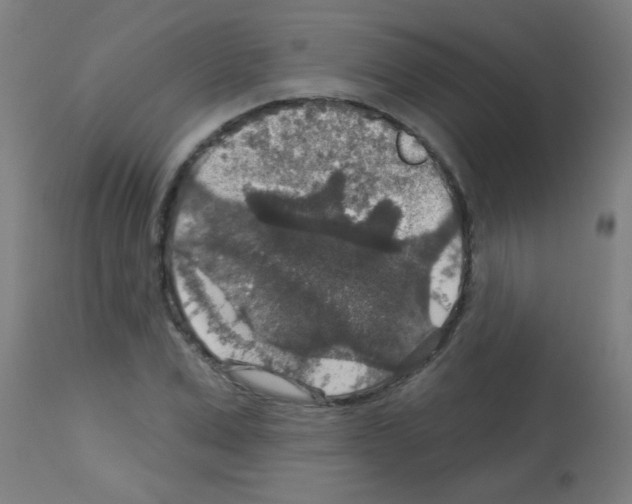 X0000113180975200910161328