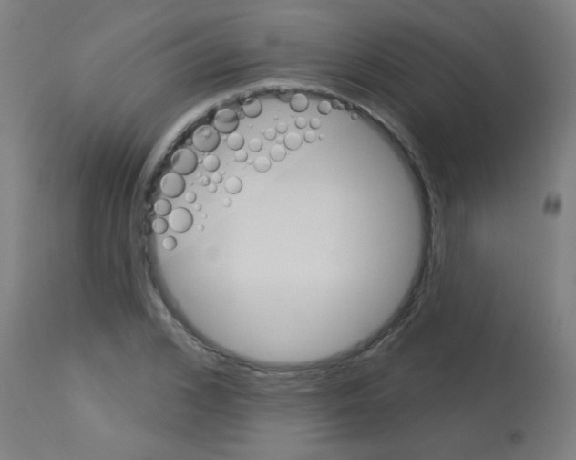 X0000113180976200910161328