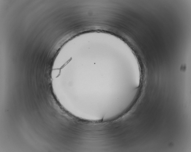 X0000113180977200910161328