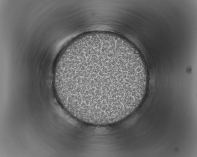 X0000113180979200910161328
