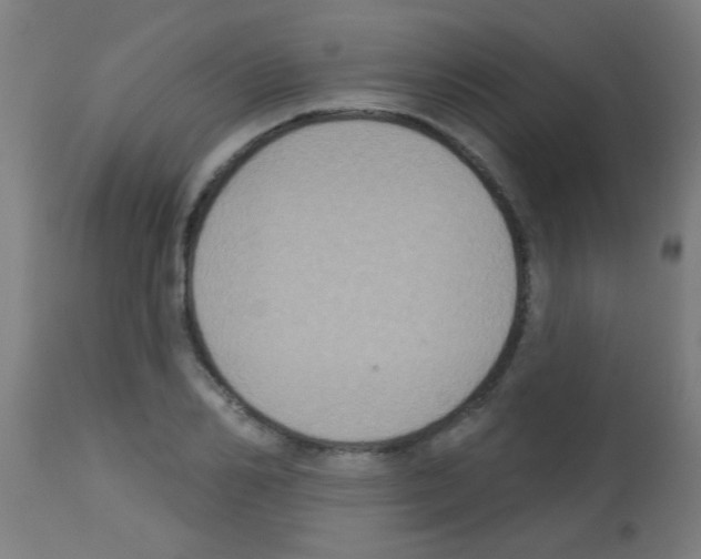 X0000113180982200910161327