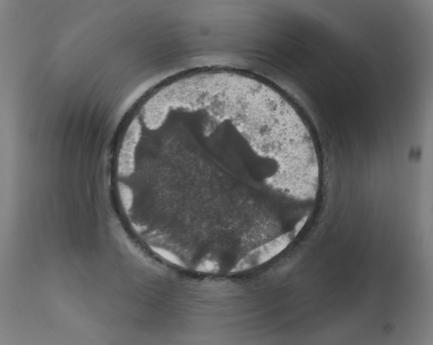 X0000113180983200910161327