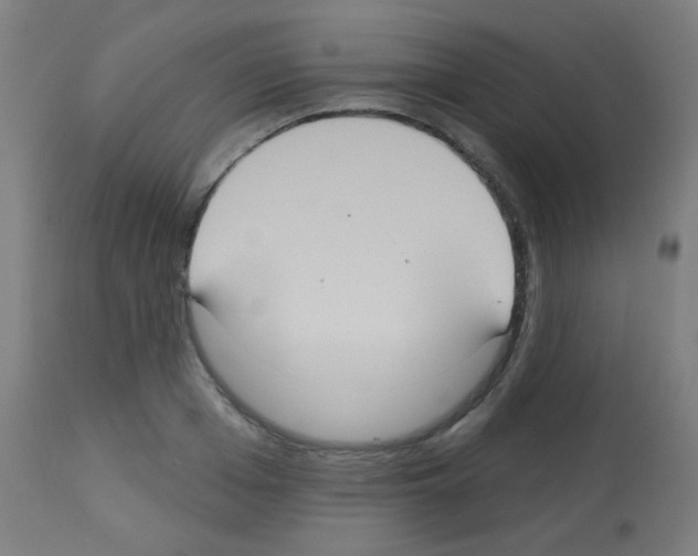 X0000113180985200910161327