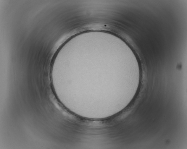 X0000113180986200910161327
