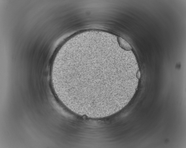X0000113180987200910161327