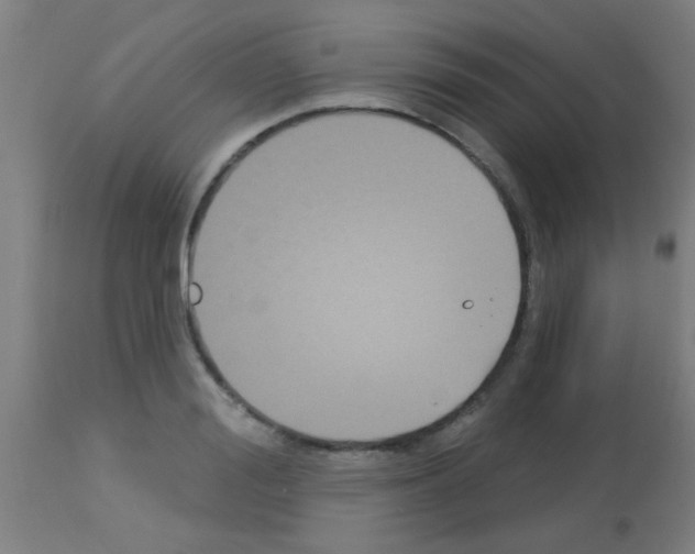 X0000113180988200910161327