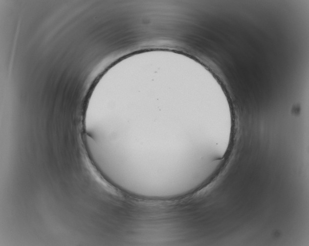 X0000113180989200910161327