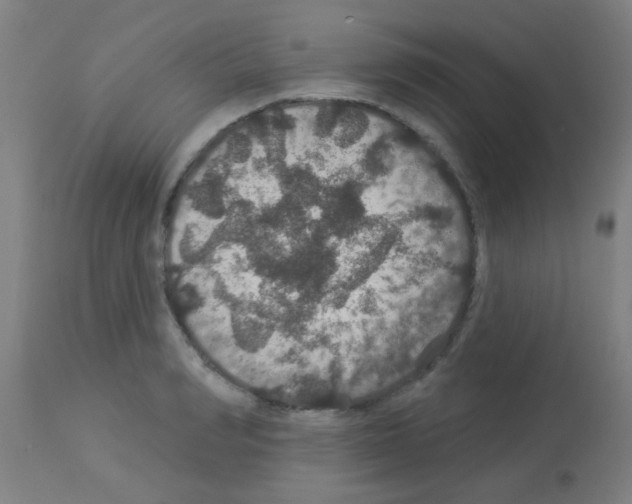 X0000113180990200910161327