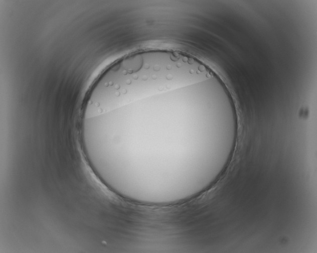 X0000113180992200910161327