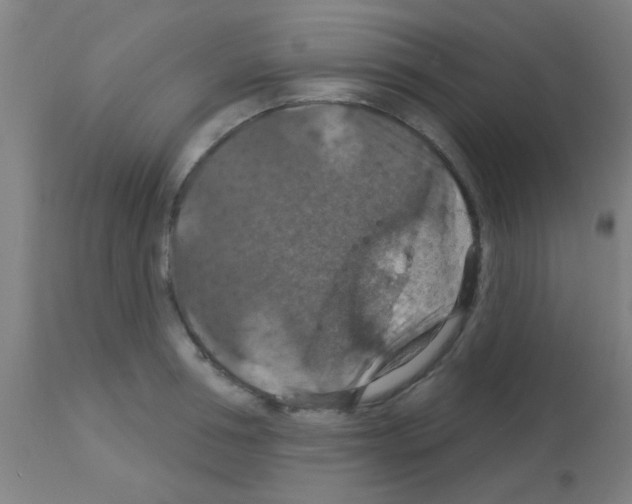X0000113180994200910161327