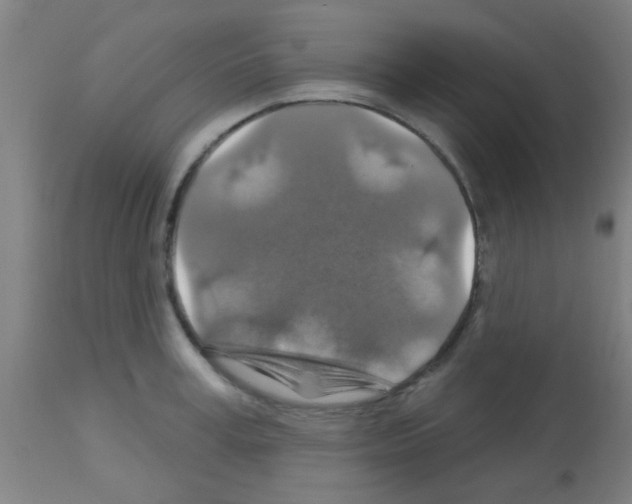 X0000113180995200910161327