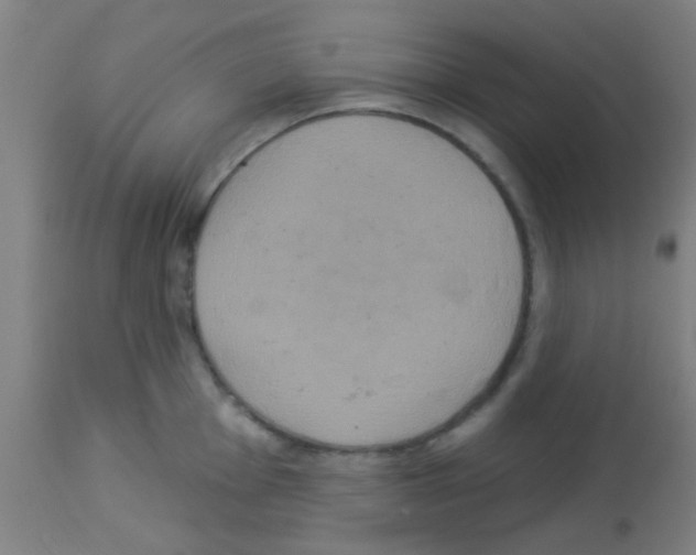 X0000113181001200910161327
