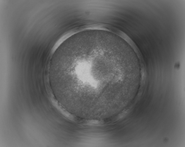 X0000113181002200910161327