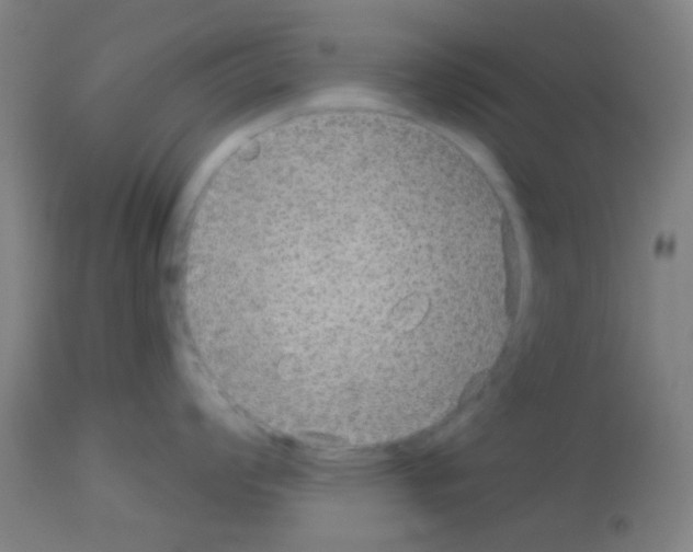 X0000113181008200910161327