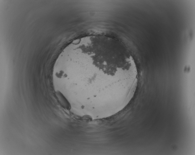 X0000113181009200910161326