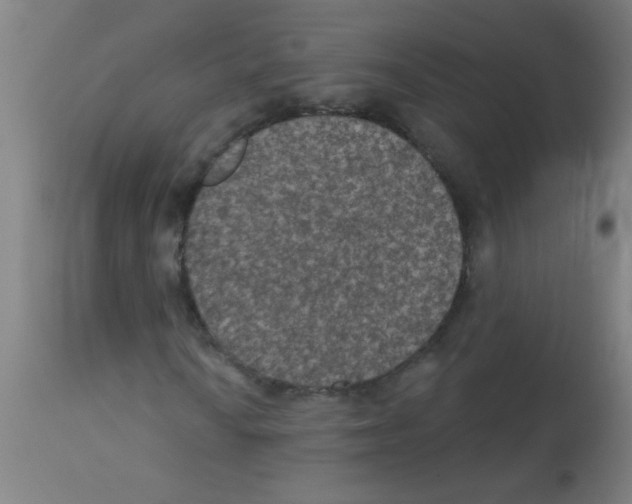 X0000113181010200910161326