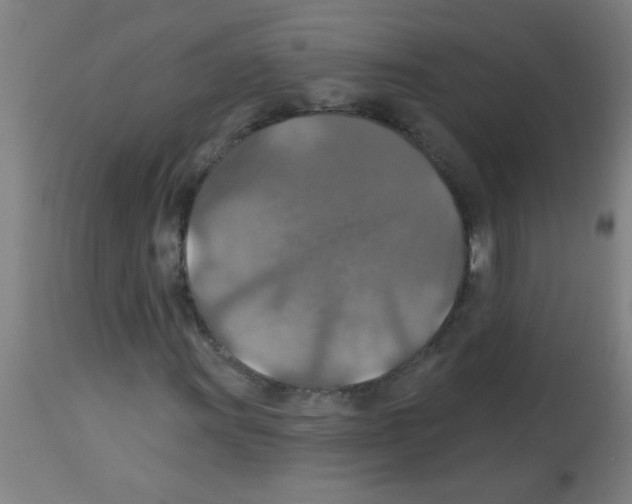X0000113181011200910161326