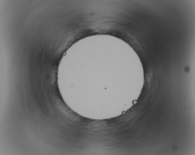 X0000113181012200910161326
