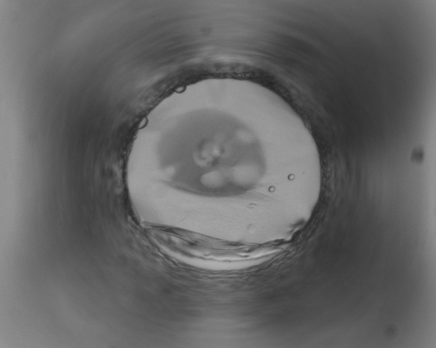 X0000113181013200910161326