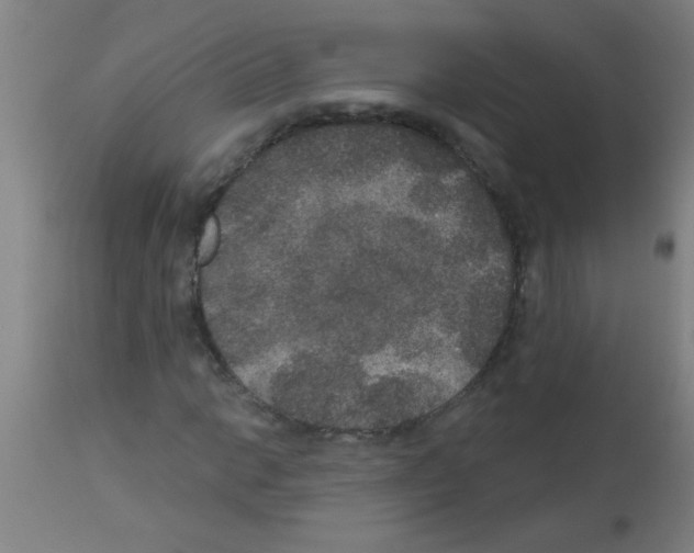 X0000113181014200910161326