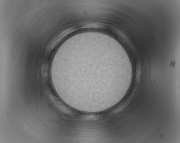 X0000113181017200910161326