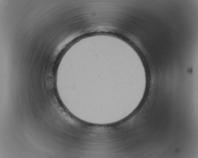 X0000113181018200910161326